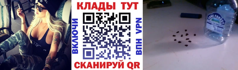 Где купить наркотики Ивдель Канабис  СОЛЬ  ТГК  Меф  ГАШ 