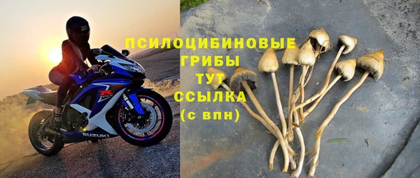 стаф Баксан