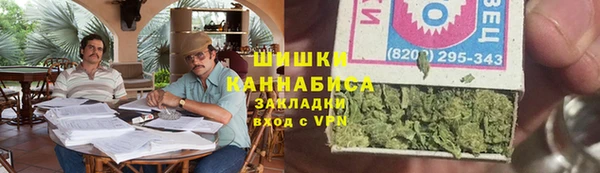 прущие грибы Протвино